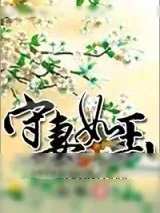 《守妻如玉》小说封面