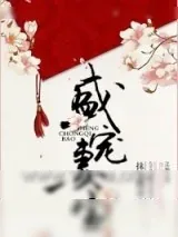 《盛宠妻宝》小说封面