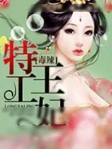 《毒辣特工王妃》小说封面