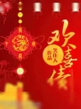 《欢喜债》小说封面
