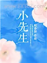 《小先生》小说封面