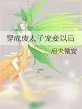 《美人娇》小说封面