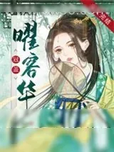 《冠盖曜容华》小说封面