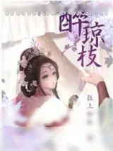 《醉琼枝》小说封面