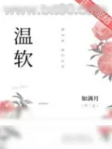 《温软》小说封面
