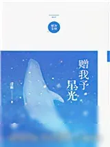 《赠我予星光》小说封面