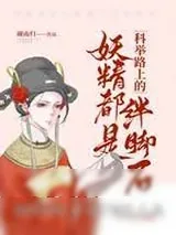 《妖精都是科举路上的绊脚石》小说封面