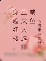 《穿越红楼,王夫人选择咸鱼》小说封面