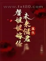 《替姐姐嫁给未来储君后》小说封面