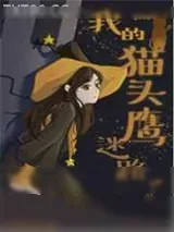 《[HP]我的猫头鹰迷路了》小说封面