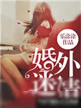 《婚外迷情》小说封面