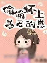 《偷偷怀上暴君的崽》小说封面