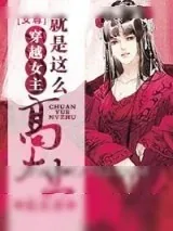 《穿越女主就是这么高大上》小说封面