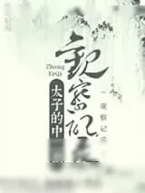 《太子的中二期观察记录》小说封面