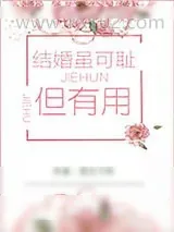 《恐婚症》小说封面