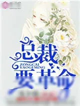 《二婚娇妻，总裁要革命》小说封面