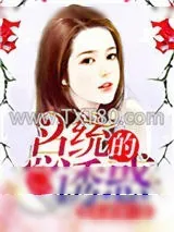 《总统的诱惑》小说封面