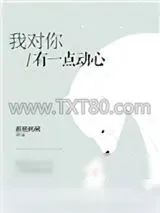 《我对你有一点动心》小说封面