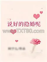 《说好的隐婚呢》小说封面