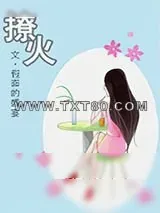 《撩火》小说封面