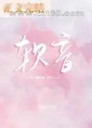 《软音》小说封面