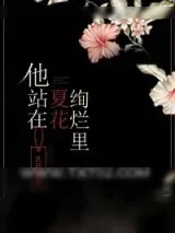 《他站在夏花绚烂里》小说封面