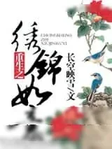 《重生之绣锦如意》小说封面