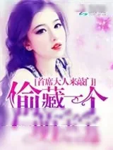 《首席大人来敲门:偷藏一个萌宝宝》小说封面