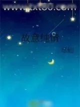 《故意纯情》小说封面