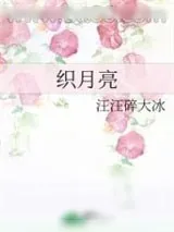 《织月亮》小说封面