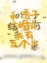 《和透子结婚前我有五个崽》小说封面