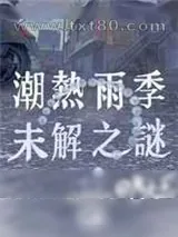 《潮热雨季未解之谜》小说封面
