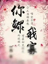 《穿越之你鳏我寡》小说封面