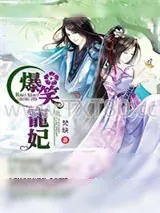 《爆笑宠妃:爷我等你休妻》小说封面