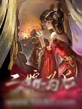 《二嫁为后》小说封面