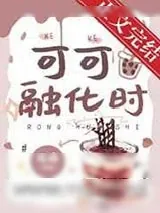 《可可融化时》小说封面