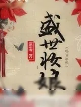 《盛世妆娘(网络版)》小说封面