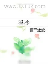 《如风》小说封面