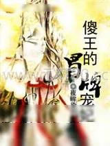《傻王的冒牌宠妃》小说封面