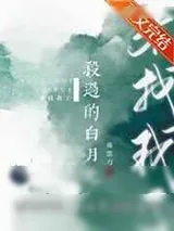 《杀过的白月光来找我了》小说封面