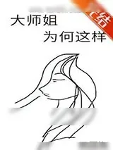 《大师姐为何这样》小说封面