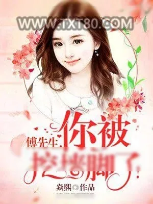 《傅先生，你被挖墙角了！》小说封面