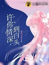 《许你情深到白头》小说封面