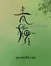 《青梅[重生]》小说封面