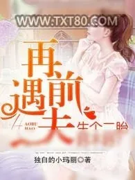 《再遇前夫,生个二胎好不好?》小说封面