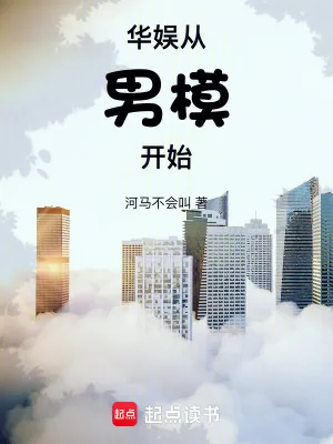 《华娱从男模开始》小说封面