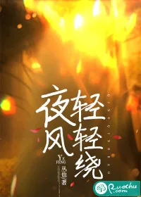 《夜风轻轻绕》小说封面