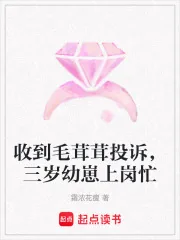 《收到毛茸茸投诉,三岁幼崽上岗忙》小说封面