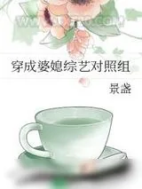 《穿成婆媳综艺对照组》小说封面