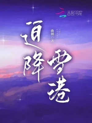 《迫降雪港》小说封面